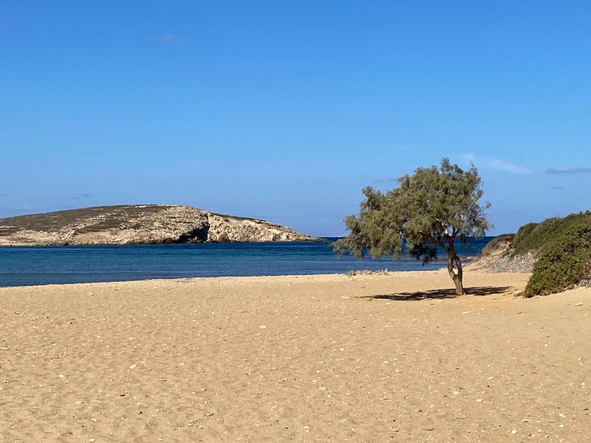 George'S Traditional House Άγιος Γεώργιος Εξωτερικό φωτογραφία